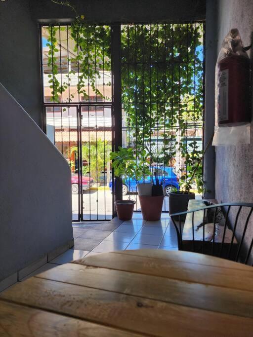 Small Studio Apt 5Min To Dt! Сіуатанехо Екстер'єр фото