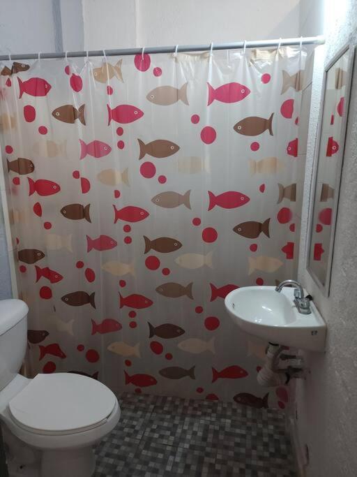 Small Studio Apt 5Min To Dt! Сіуатанехо Екстер'єр фото